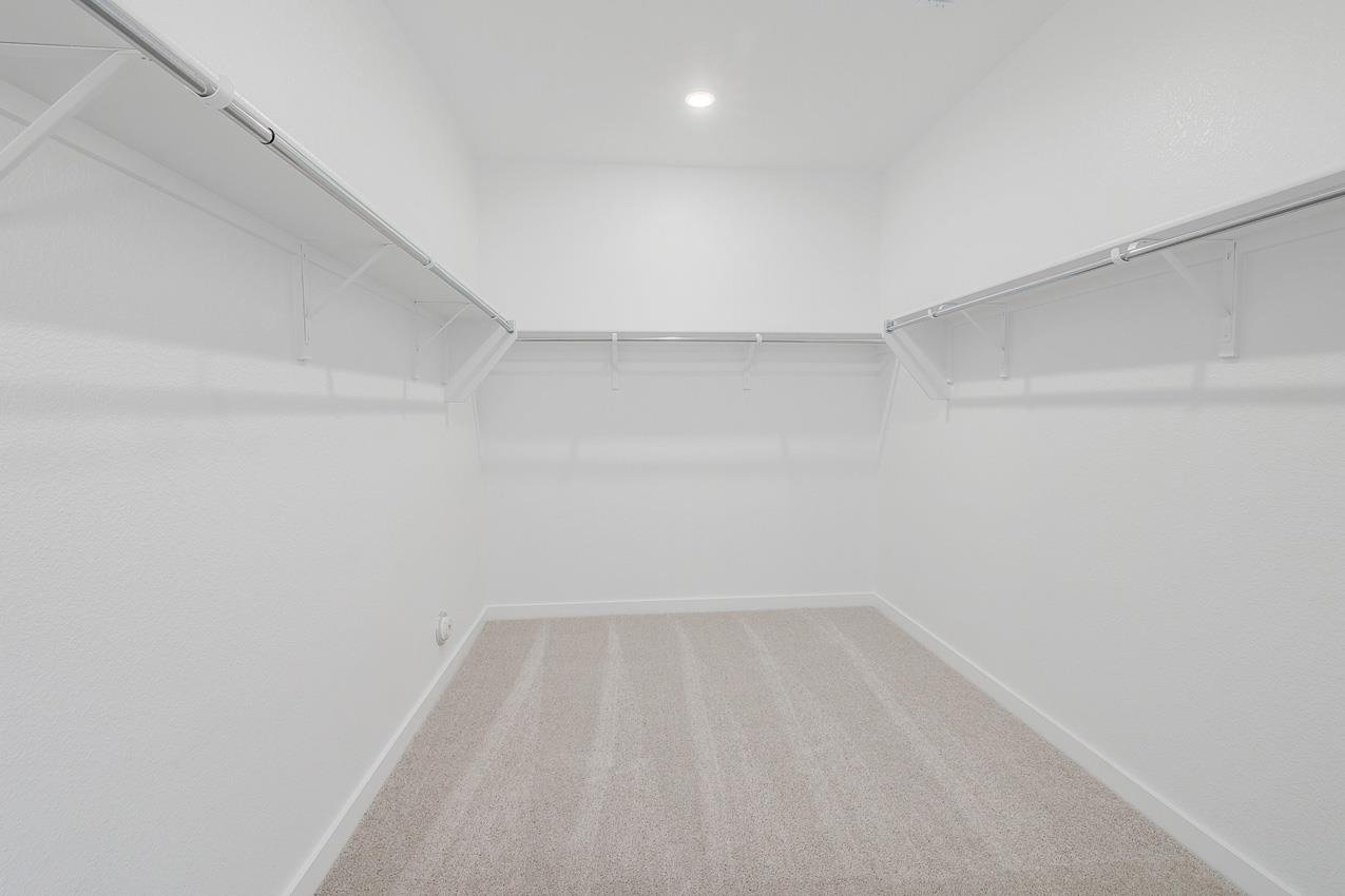 217 Luttrell Ln photo 10