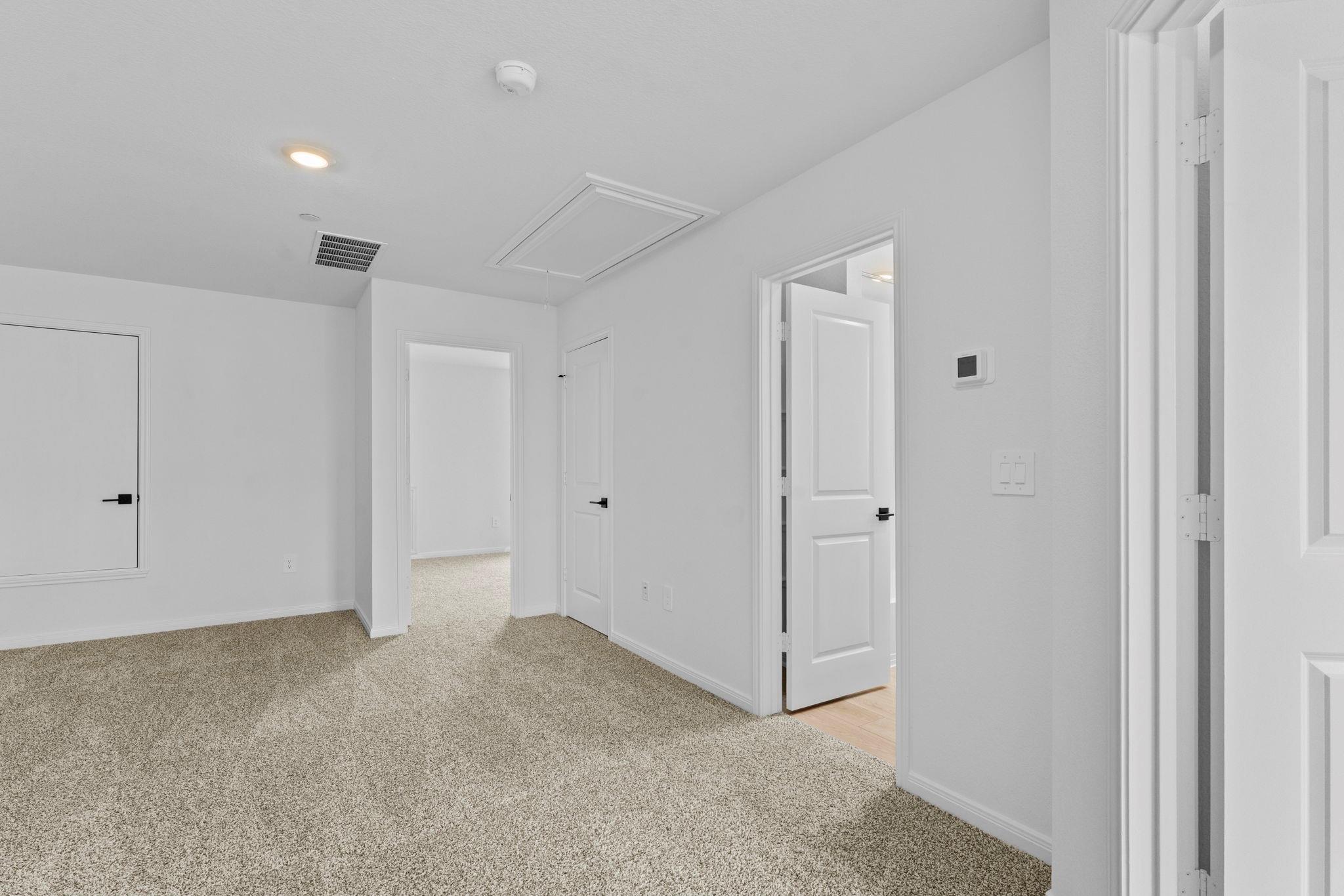 2542 Violet Theo Ln photo 10
