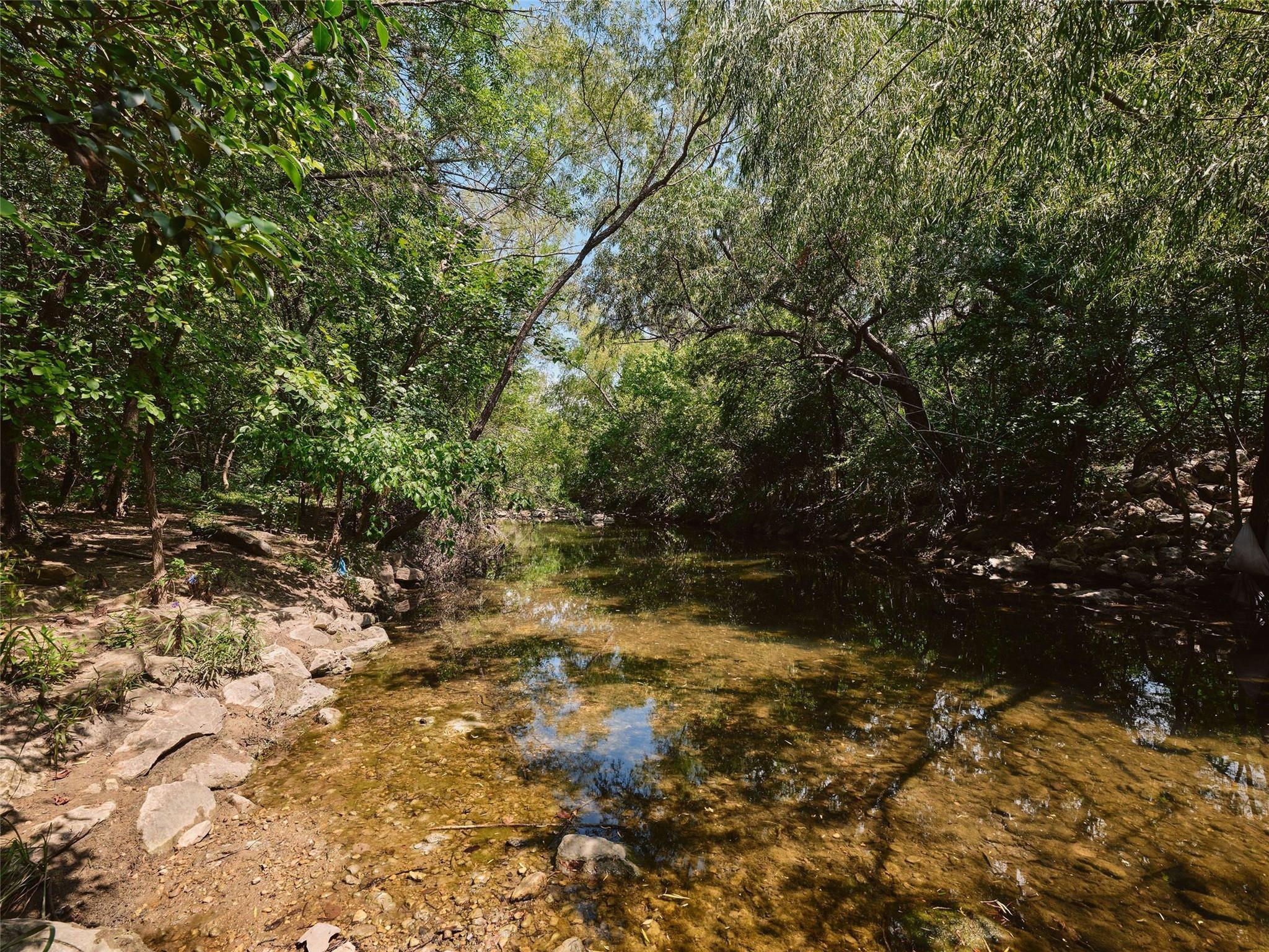 1012 Gaston Ave photo 4