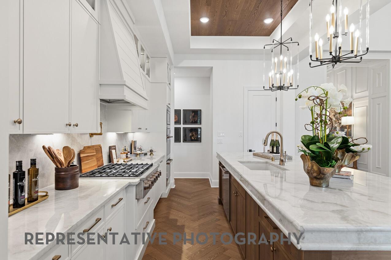 428 Tinctoria Creek Dr photo 3